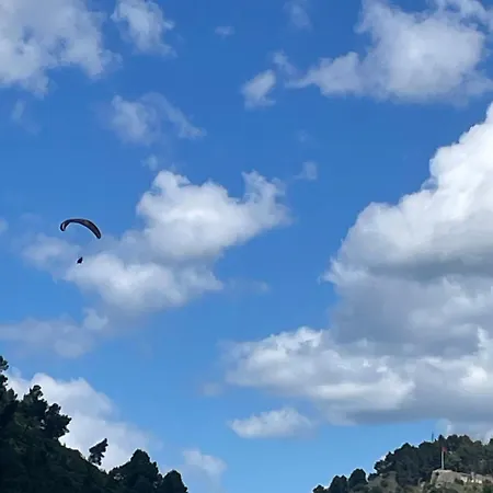 Kremelo * Berat